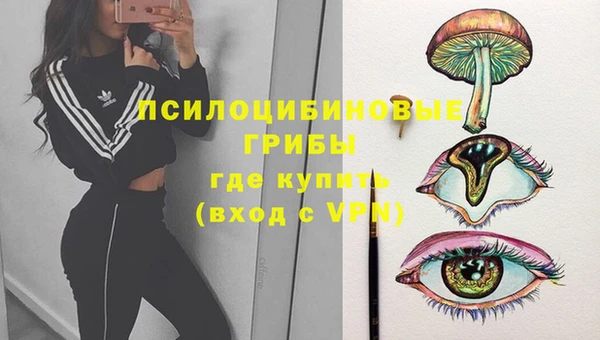 стаф Волосово